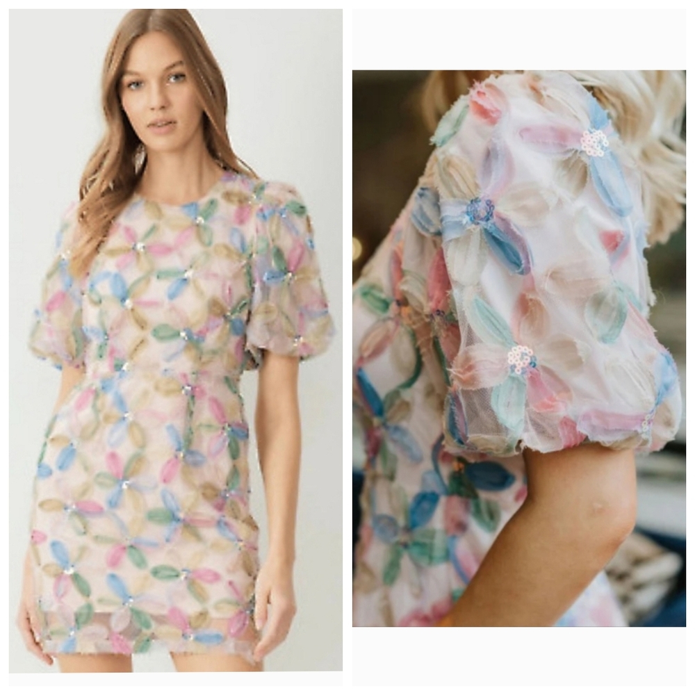 Entro Carina Floral Mesh 3D Flowers Mini Dress Medium